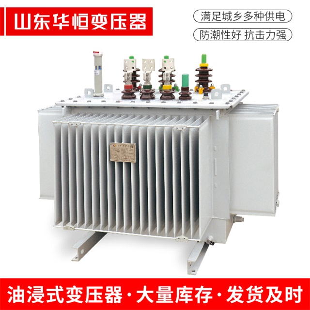 S13-10000/35开江开江开江电力变压器